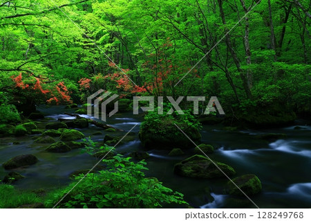 A clear stream flowing through the greenery A clear stream flowing through the greenery 128249768