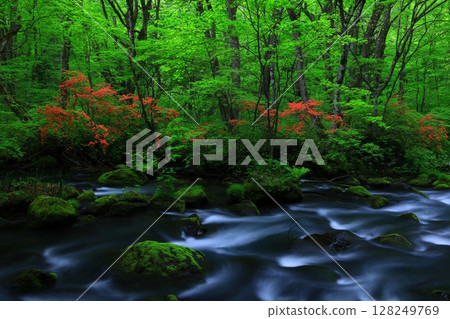 A clear stream flowing through the greenery 128249769