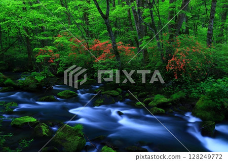 一條清澈的小溪流過綠地 一條清澈的小溪流過綠地 128249772