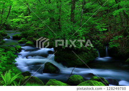 A clear stream flowing through the greenery A clear stream flowing through the greenery 128249780