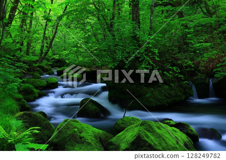 A clear stream flowing through the greenery 128249782