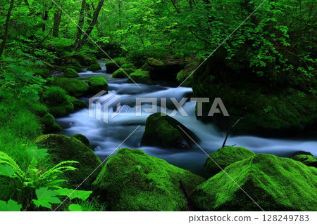 A clear stream flowing through the greenery 128249783