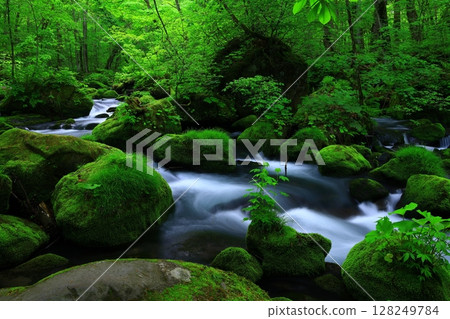 A clear stream flowing through the greenery 128249784