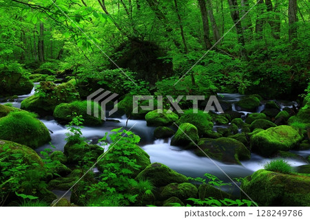 A clear stream flowing through the greenery 128249786