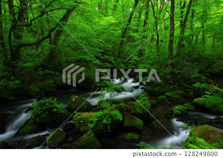 一條清澈的小溪流過綠地 128249800