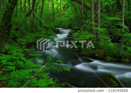 一條清澈的小溪流過綠地 128249808