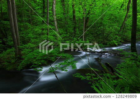 一條清澈的小溪流過綠地 一條清澈的小溪流過綠地 128249809