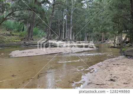 The Capertee River running at low levels in the Wollemi National Park 128249860