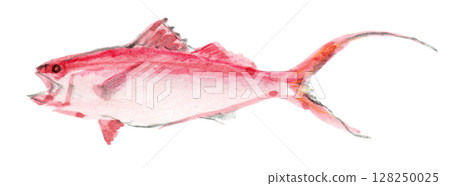 long-tailed sea bream 128250025