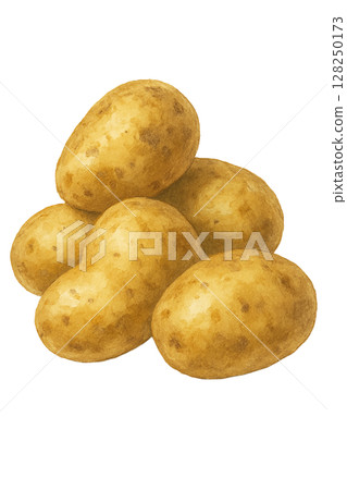 一堆馬鈴薯的水彩插圖 128250173