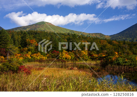 Hakkodayama in autumn 128250816