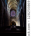 St. Vid's Cathedral 128250869