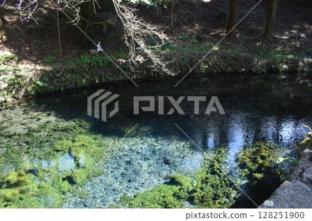 Aso Kumamoto Kyushu Shirakawa River Source Aso Kumamoto Kyushu Shirakawa River Source 128251900