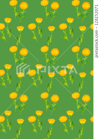 Seamless pattern of marigold (calendula) Hand-drawn watercolor illustration background material 128252071