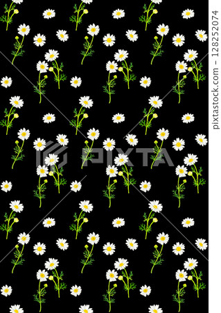 Chamomile seamless pattern Hand-drawn watercolor illustration background material 128252074