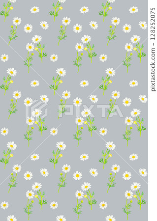 Chamomile seamless pattern Hand-drawn watercolor illustration background material 128252075