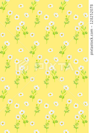 Chamomile seamless pattern Hand-drawn watercolor illustration background material 128252078