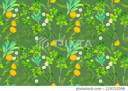 各種草藥的無縫圖案手繪水彩插畫背景素材 128252086