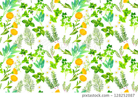 Seamless pattern of various kinds of herbs Hand-drawn watercolor illustration background material 128252087