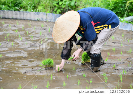 A man who owns a rice terrace planting rice 128252096