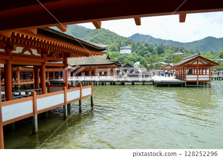 Itsukushima shrine of world heritage Itsukushima shrine of world heritage 128252296