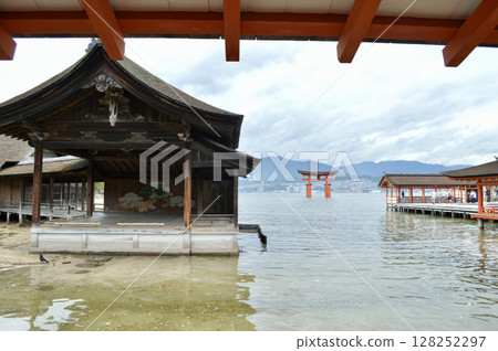 Itsukushima shrine of world heritage Itsukushima shrine of world heritage 128252297