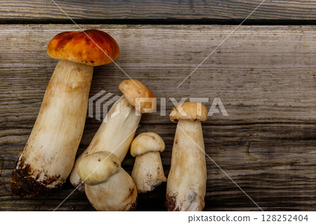 Freshly picked porcini mushrooms on rustic wooden table. Top view Freshly picked porcini mushrooms on rustic wooden table. Top view 128252404