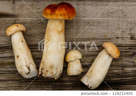 Freshly picked porcini mushrooms on rustic wooden table. Top view Freshly picked porcini mushrooms on rustic wooden table. Top view 128252405