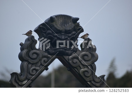 熊本 天草鬼代公園 九州 熊本 天草鬼代公園 九州 128252583