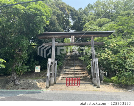 福岡市東區名島神社鳥居 128253153