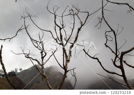Remote mountain landscape framed by bare branches under a cloudy sky 128253218