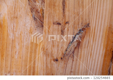 Brown bark wood texture. Natural wooden background 128254665