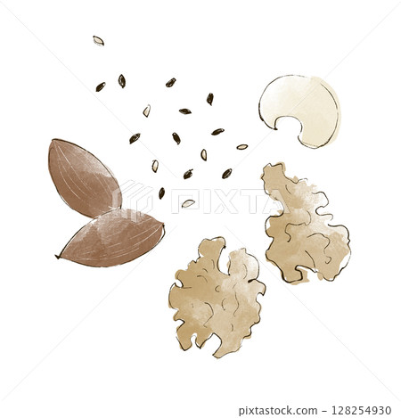 堅果和芝麻手繪插圖 128254930