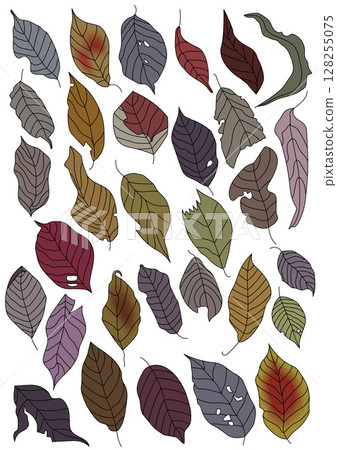 Fallen leaves on the road in autumn 128255075