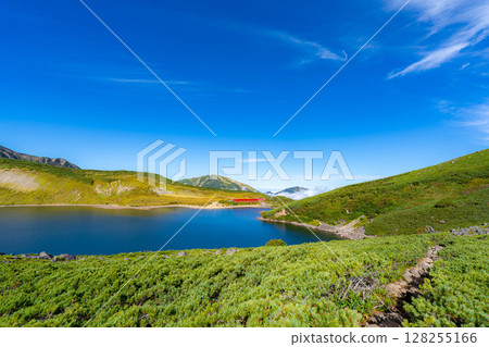 [Mountain material] Hakuba Oike Pond in early autumn [Nagano Prefecture] 128255166