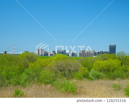 A view of the riverbed with budding trees and the buildings on the opposite bank from the Edogawa River bank in spring A view of the riverbed with budding trees and the buildings on the opposite bank from the Edogawa River bank in spring 128255316