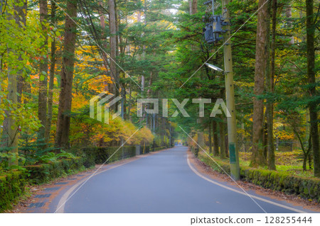 [Autumn Material] Karuizawa scenery shrouded in mist during the autumn foliage season [Nagano Prefecture] 128255444