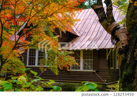 [Autumn Material] Karuizawa scenery shrouded in mist during the autumn foliage season [Nagano Prefecture] 128255450