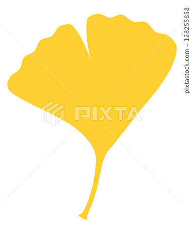Yellow ginkgo leaf illustration Yellow ginkgo leaf illustration 128255858