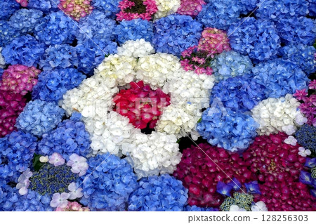 伊豆高原菖蒲花園的繡球花 伊豆高原菖蒲花園的繡球花 128256303