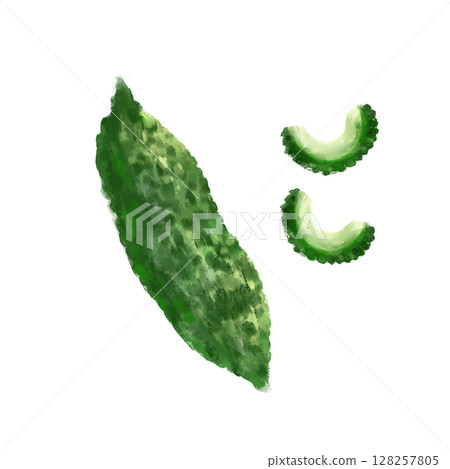 苦瓜水彩插圖集 128257805