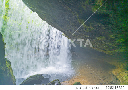 （熊本縣小國町）新綠的鍋瀑布[背面] 128257811