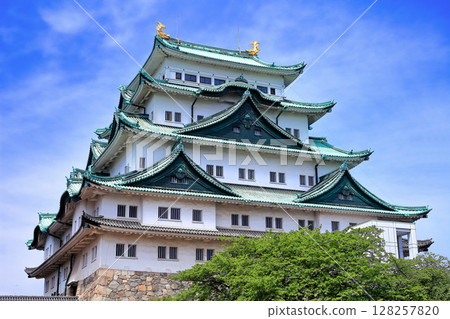 [Aichi Prefecture] Nagoya Castle Great Tower under sunny weather 128257820