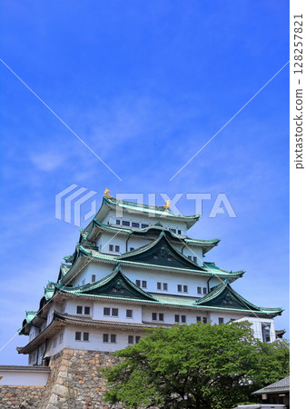 [愛知縣]名古屋城大塔在陽光明媚的天氣下 128257821