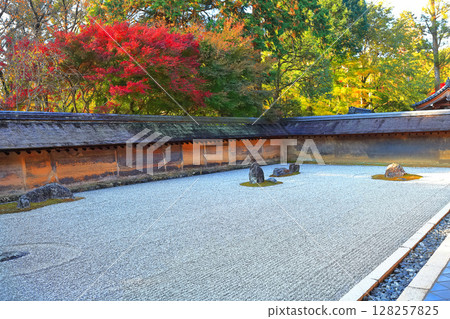 [Kyoto Prefecture] Ryoanji Temple's rock garden and autumn leaves 128257825