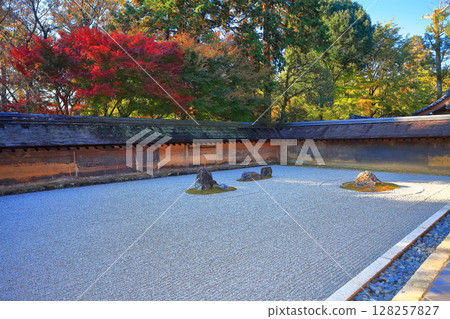 [京都府]龍安寺的石庭和紅葉 128257827