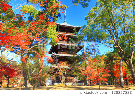 [京都府] 秋季的仁和寺五重塔 128257828