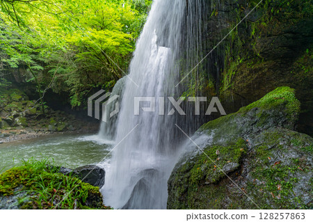 (Oguni Town, Kumamoto Prefecture) Nabegataki Falls with fresh greenery 128257863
