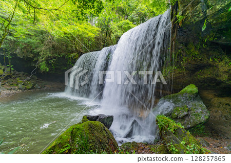 (Oguni Town, Kumamoto Prefecture) Nabegataki Falls with fresh greenery (Oguni Town, Kumamoto Prefecture) Nabegataki Falls with fresh greenery 128257865