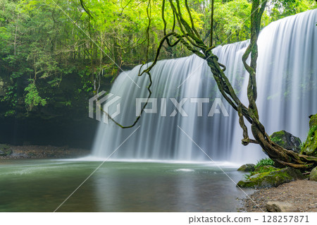 (Oguni Town, Kumamoto Prefecture) Nabegataki Falls with fresh greenery (Oguni Town, Kumamoto Prefecture) Nabegataki Falls with fresh greenery 128257871